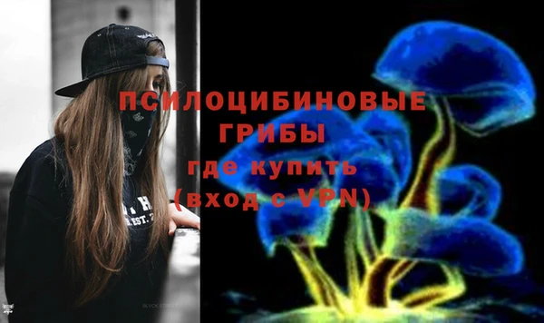 СК Гусев