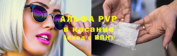 ПСИЛОЦИБИНОВЫЕ ГРИБЫ Горно-Алтайск