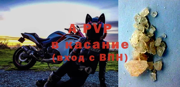 СК Гусев