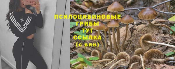 гидропоника Гусиноозёрск