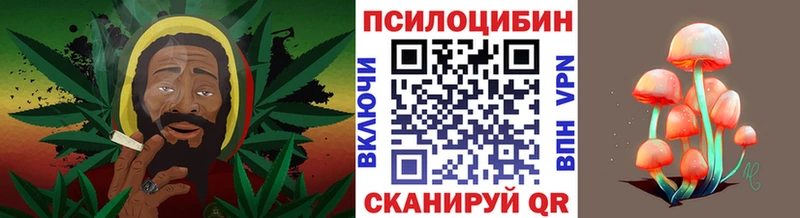 Псилоцибиновые грибы Magic Shrooms  Армавир 